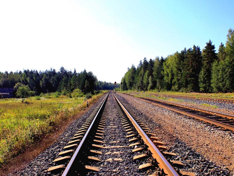舆情雷达<br>Reddit/X(推特) 热点收割机